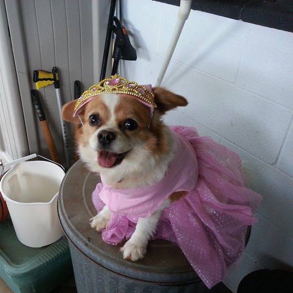 Meet your Posher, Leigh - Picture 1 of 1